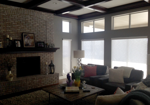 view through screen shades on large living room windows in Westminster CO