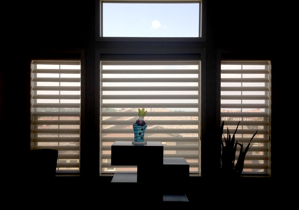 large pirouette shades on living room windows in Denver CO