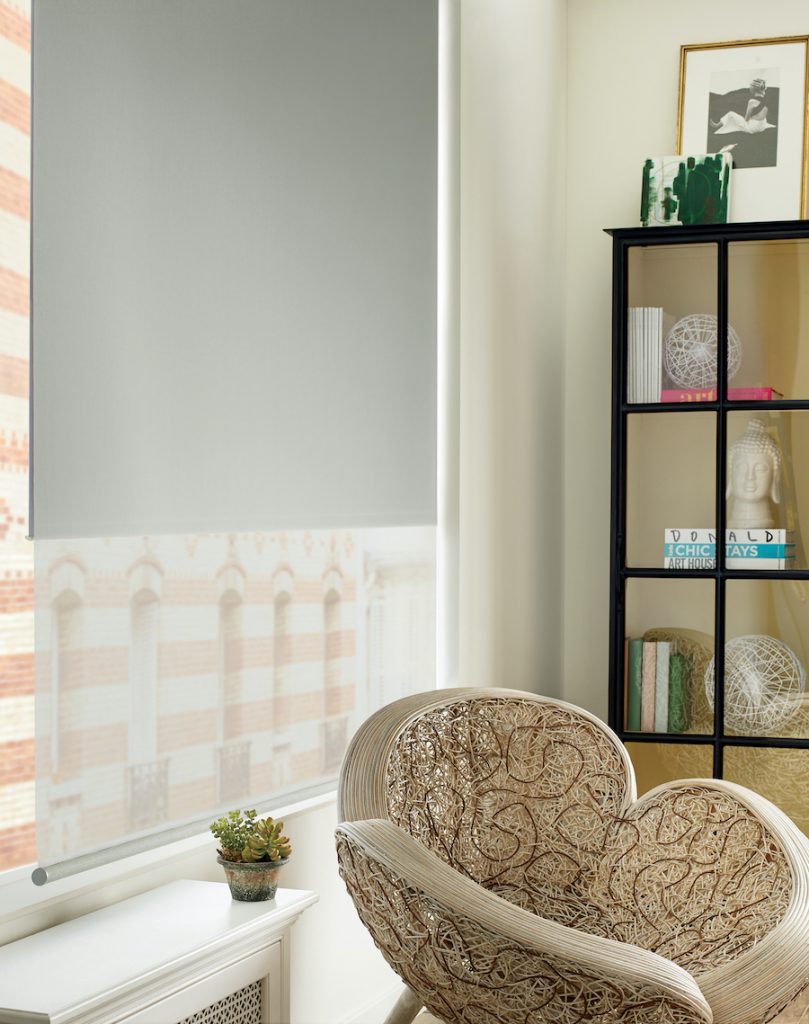 Light Filtering & Room Darkening Dual Functioning Shades Ideas