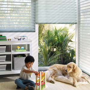 child safe cordless blinds and shades Hunter Douglas Denver 80238