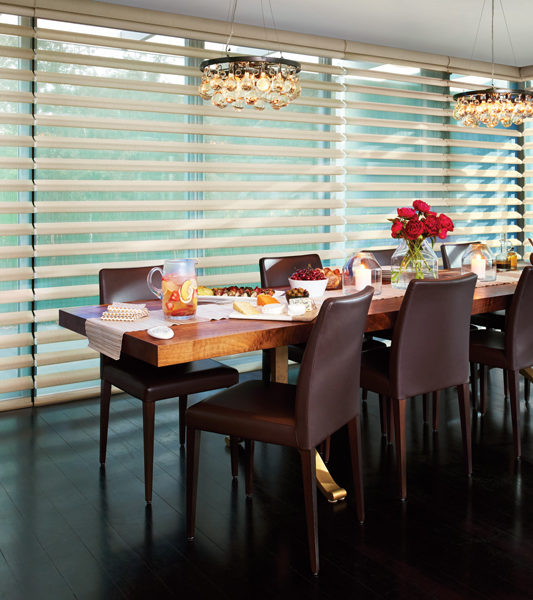 dining room floor to ceiling large window blinds designer banded shades Hunter Douglas Englewood 80113
