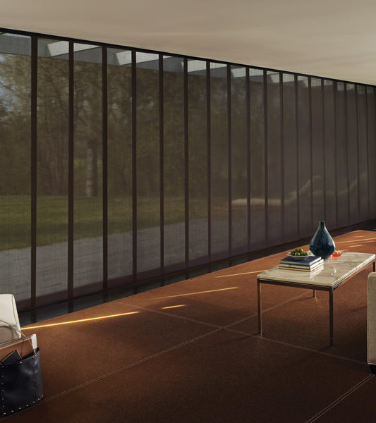 home office floor to ceiling large window blinds designer roller shades Hunter Douglas Denver 80206
