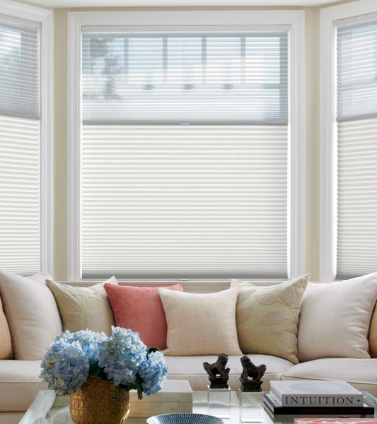 living room duette duolite honeycomb shades for energy efficiency in Denver 80238