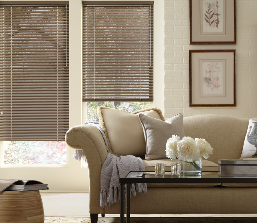 metal blinds living room windows in Denver CO