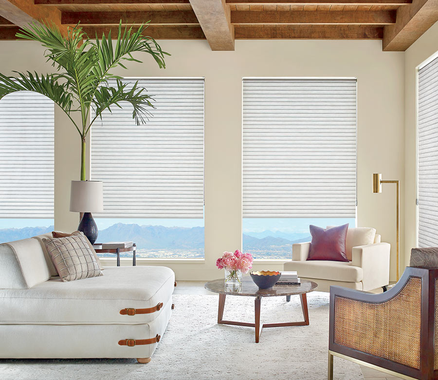 living room in Denver CO with wooden ceiling and cellular roller shades