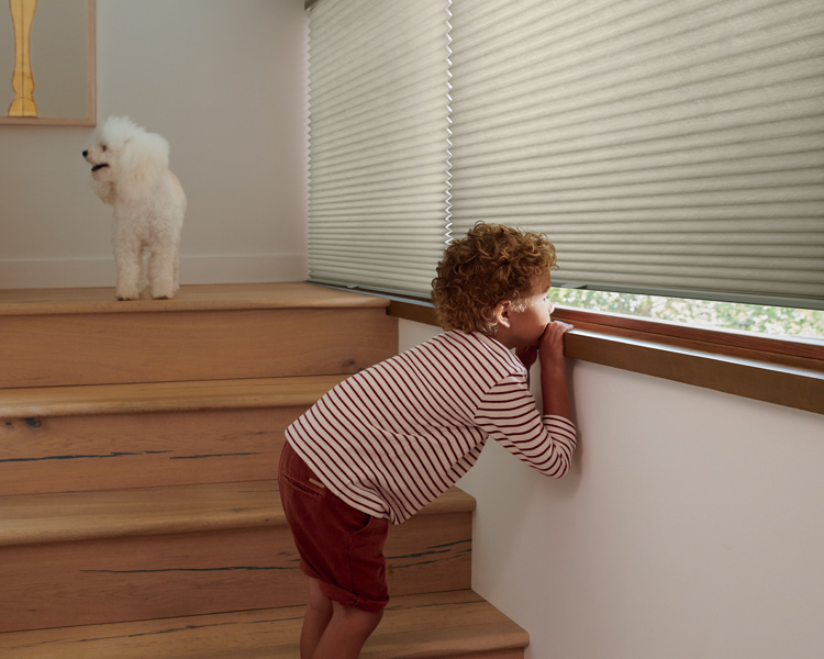 Hunter Douglas duette shades for staircase Westminster CO