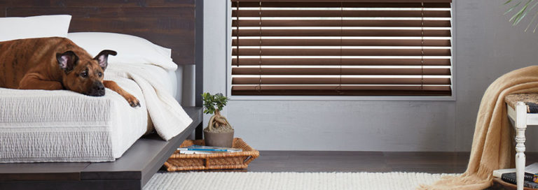 pet safe blinds Denver