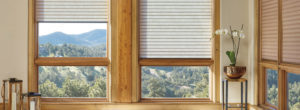 energy saving hunter douglas custom roman shades Westminster 80021