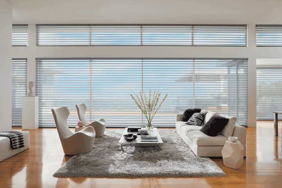 minimalism in home design living room with silhouette shades Hunter Douglas Denver 80238