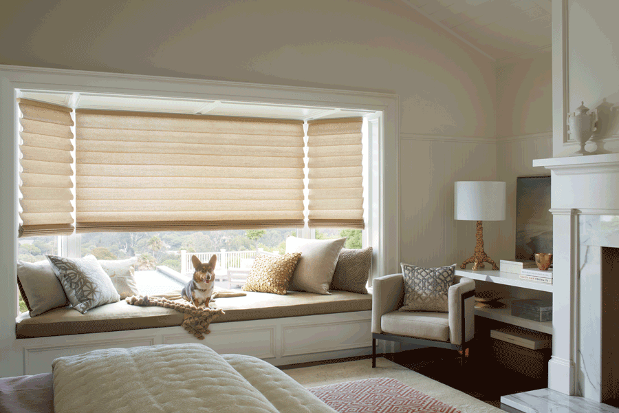 Hunter Douglas pet safe blinds Denver 80206