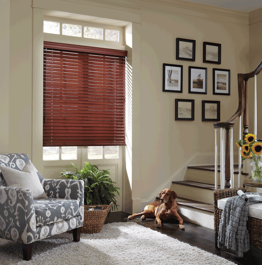 Hunter Douglas blinds safe for dogs and cats Denver 80238