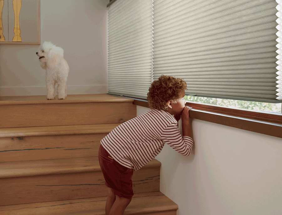 summer ready home child safe blinds Denver CO