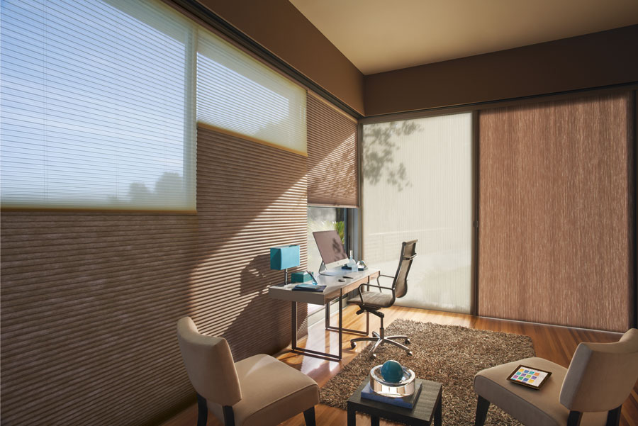 combination light exposure duette honeycomb shades in denver Co home