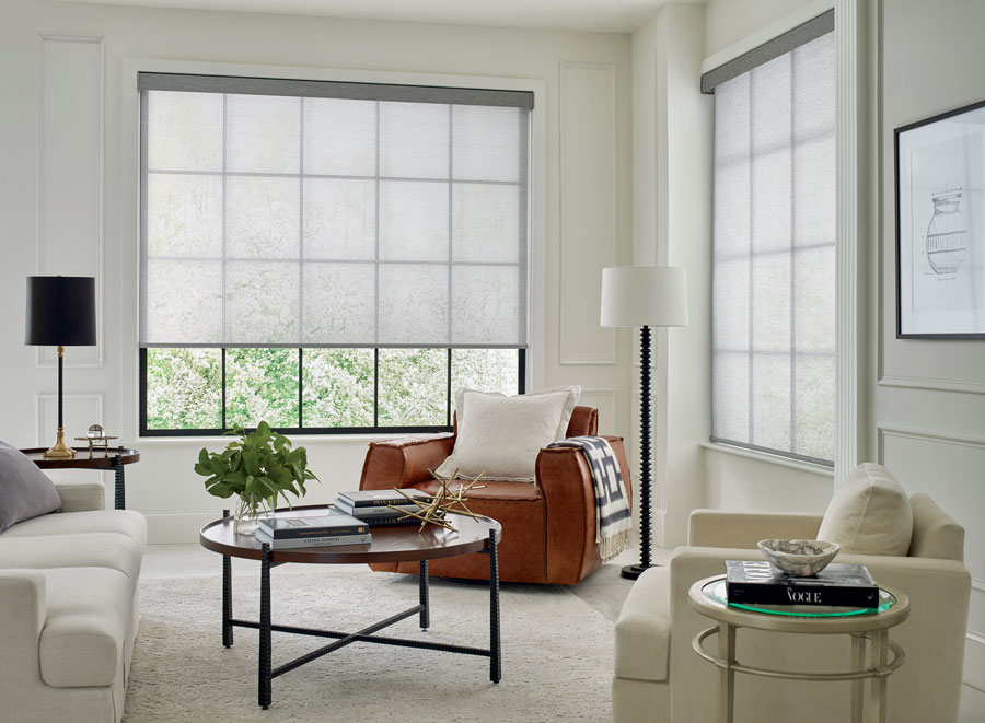 Designer screen shades on living room windows Westminster, CO