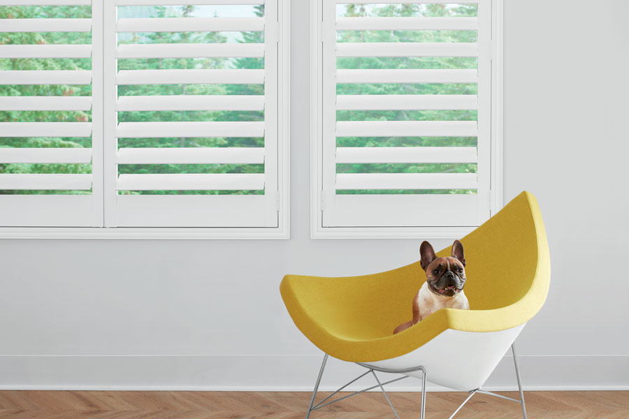 Interior shutters as pet friendly window coverings