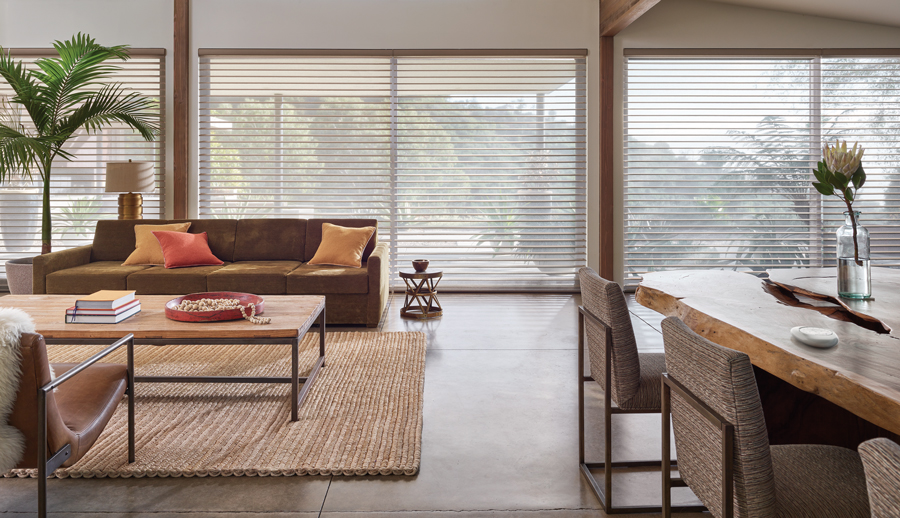 living room and kitchen area with silhouette window shades