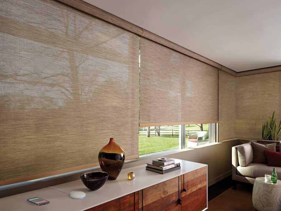 Designer Screen Shades in a living area