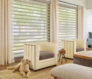 living room window treatments pirouette sheer shades with side drapes in Westminster CO home