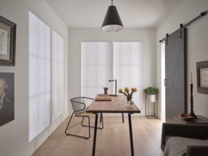 honeycomb shades with light filtering fabrics in home office in Denver CO