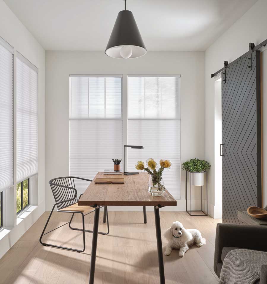 Duette Honeycomb shades home office Colorado