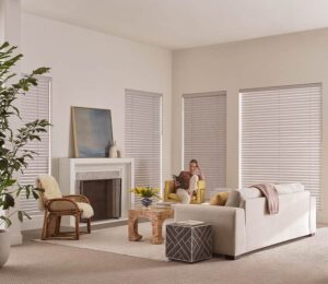 fabric blinds in living room Denver CO