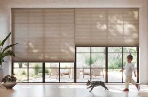 black trim sliding doors with honeycomb shades in Littleton CO