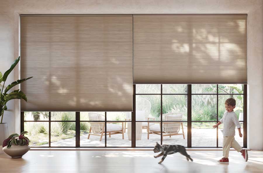 black trim sliding doors with honeycomb shades in Littleton CO