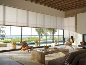 white Hunter Douglas window shades full floor to ceiling large window window shade automation