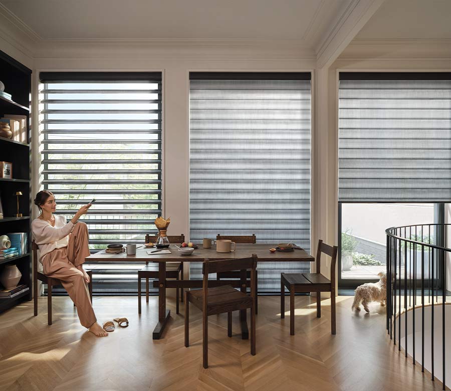 pirouette-window-treatments-multipurpose-dining-room-hunter-douglas-rocky-mountain-shutters-shades-and-closets pirouette shades in multipurpose room with adjustable vanes