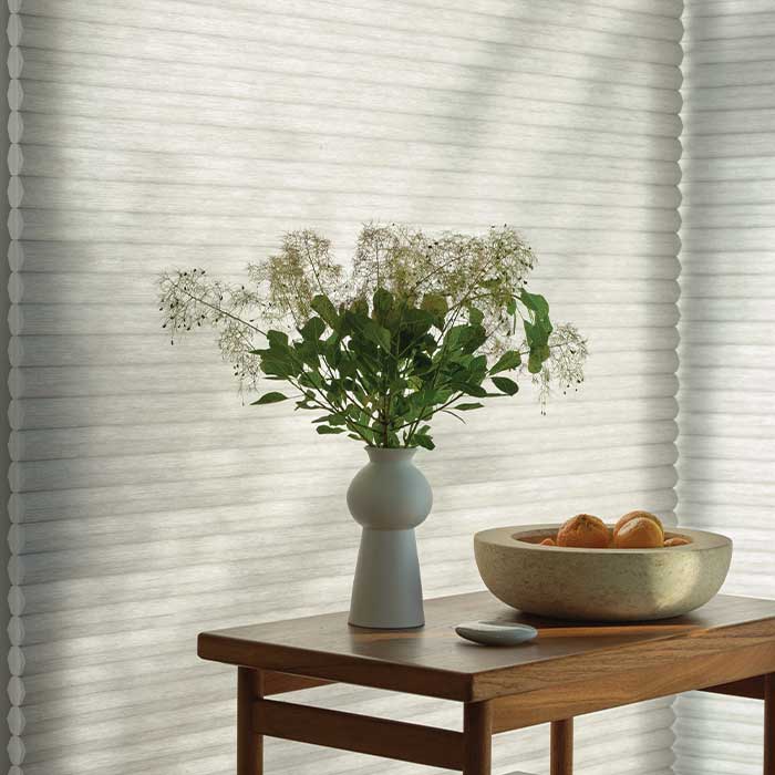 Duette-Honeycomb-Shades-hunter-douglas-rocky-mountain-shutter-shades-closets