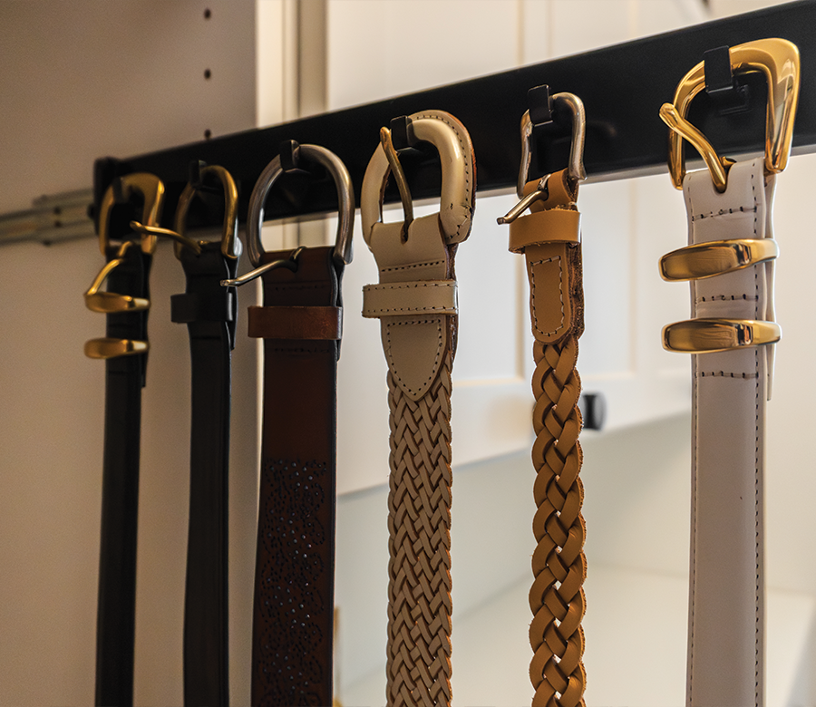 built in belt rack in closet storage