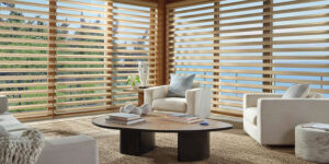pirouette-shades-living-room-window-treatments-rocky-mountain-shutters-shades-closets pirouette shades reduce glare on large living room windows