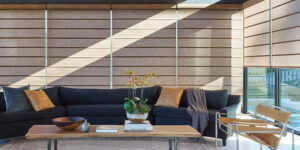 window-direction-proper-window-treatments-rocky-mountain-shutters-shades-closets architectural roller shades on large living room windows blocking intense sunshine