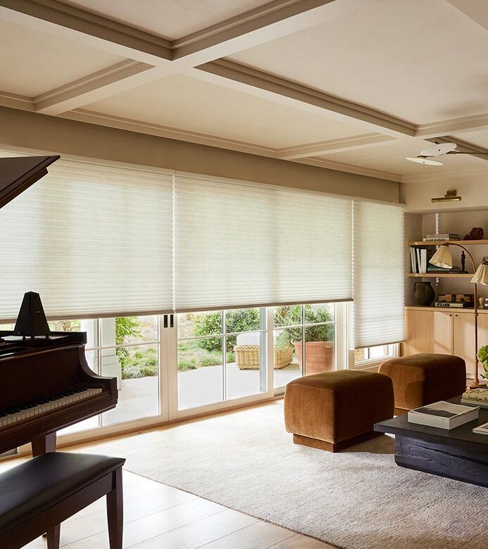 duette honeycomb shades on glass doors rocky mountain shutters shades and closets